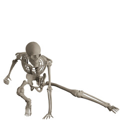 skeleton posing 3d render illustration
