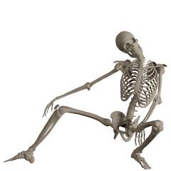 skeleton posing 3d render illustration

