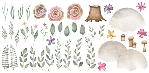 Floral set with tender leaves, branches, flowers, mashrooms. Cute watercolor forest
