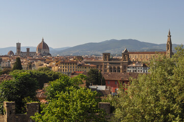 Obraz premium View of the city of Florence