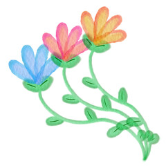 Fototapeta premium Watercolor Flower Clipart Decoration Flora
