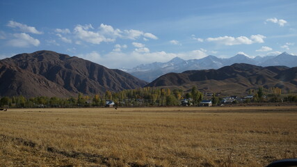 pasture near the mountains