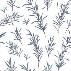 Naklejka premium Vector seamless pattern with illustration of rosemary isolated on white. For fabric design, textile, essential oil design, wrapping paper decoration.