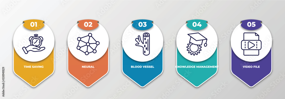 Poster infographic template with outline icons. thin line icons such as time saving, neural, blood vessel, 