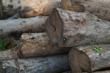 lumber industry with some wood that has been cut