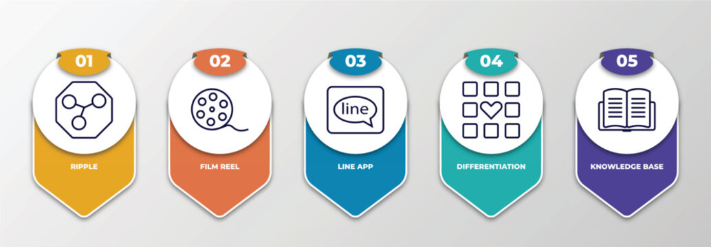 infographic template with outline icons. thin line icons such as ripple, film reel, line app, differentiation, knowledge base editable vector. can be used for web, mobile, info graph.