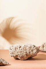 Stones on a beige and brown background with beautiful branch shadows. Cosmetic product vertical mockup