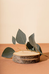 Obraz premium A wooden podium and a branch of eucalyptus, vertical photo. Beauty product mockup
