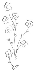 Minimalist line drawing of branch with wild leaves and flowers. Plants black sketch, aesthetic contour. Png illustration.