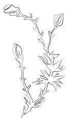 Minimalist line drawing of branch with leaves and flower bud. Plants black sketch, aesthetic contour. Png illustration.