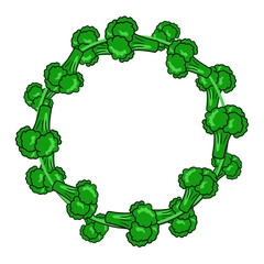 Round frame, bright green ripe pieces of broccoli, copy space, vector cartoon