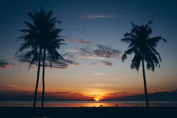 Dark silhouettes of palm trees and amazing cloudy sky on sunrise at tropical island in Indian Ocean. Coconut Tree with Beautiful and romantic sunrise. Koh Tao popular tourist destination in Thailand.