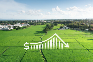 Land, landscape or green field in aerial view. Include bar chart or graph, drop down arrow. Real...