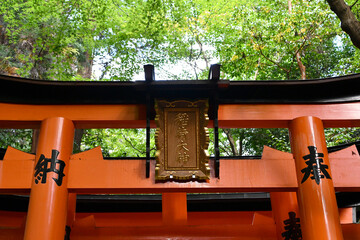 京都 伏見稲荷大社 千本鳥居 部分