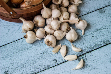 Fresh raw whole garlic and onions