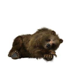 Fototapeta premium 3D illustration of a brown bear relaxing isolated on transparent background.