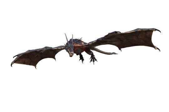 Wyvern or Dragon fantasy creature in flight hunting, 3D illustration isolated on transparent background.