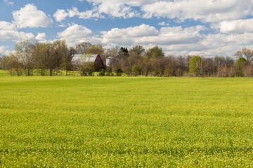Barn in the field on a sunny day
