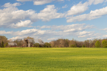 Obraz premium Barn in the field on a sunny day
