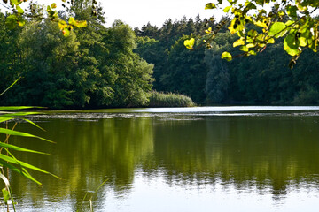 Blick auf einen kleinen See im Wald bei Grafenrheinfeld und Röthlein, Schweinfurt, Franken, Bayern Deutschland