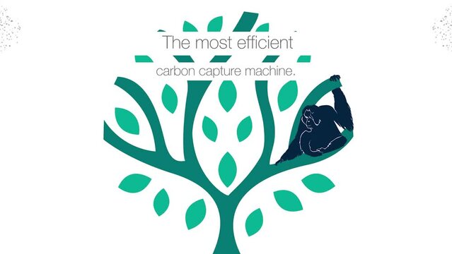 Save the planet - carbon capture, looped