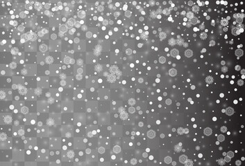 White Snow Vector Transparent Background. Fantasy