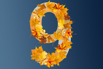 Obraz premium Colorful autumn leaves isolated on blue background as number nine. Number nine.