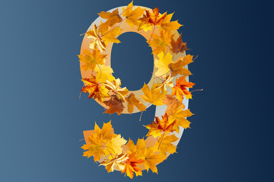 Colorful autumn leaves isolated on blue background as number nine. Number nine.