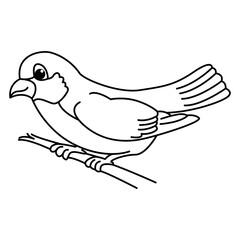 Cute bird cartoon characters vector illustration. For kids coloring book.