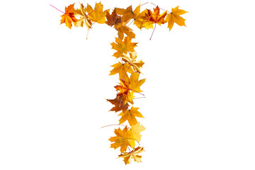 Alphabet letters made with yellow autumn leaves to form the capitals on a stone background. The letter t