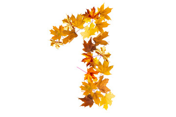 Number 1 of colorful autumn leaves. Cardinal number one mades of fall foliage. Autumnal design font...