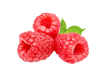Raspberry berries isolated on white or transparent background. Three raspberry fruits with green...