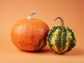 Small decorative pumpkins. Ornamental gourds and squash types. Autumn or fall composition for...