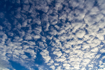 Water clouds on blue sky. Altocumulus nature pattern background