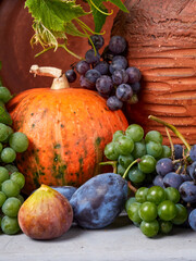 Beautiful still life with different varieties of fruit