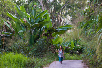Woman trekking in jungle path - 538962855