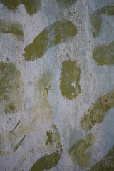 Abstract blue-green background old painted iron fence texture of peeling paint closeup, wet iron painted fence, round abstract white matte spots
