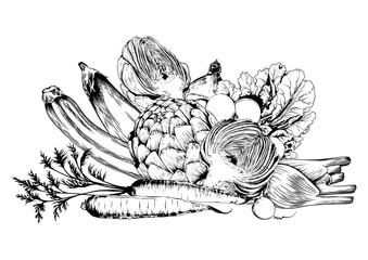 Artichoke, zucchini, eggplants and green vegetables. Black and white hand drawn vector illustration.