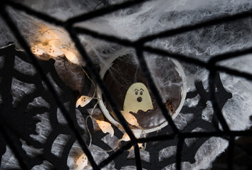 halloween chocolate cake with white chocolate decoration in the form of a ghost