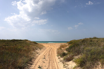 Sea access to the beach. Wide access to the beach with sand and grass