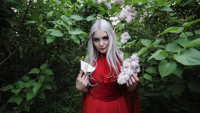 Fantastic female elf dressed in a red dress, she is in a fairy forest.