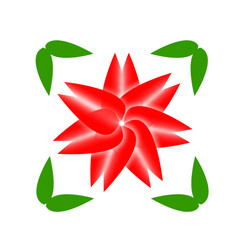 closeup the red white flower with green leaves art on the white background.