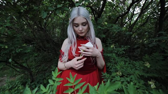 Mysterious and enigmatic female elf in a red dress. Her hands are holding a white calla flower.