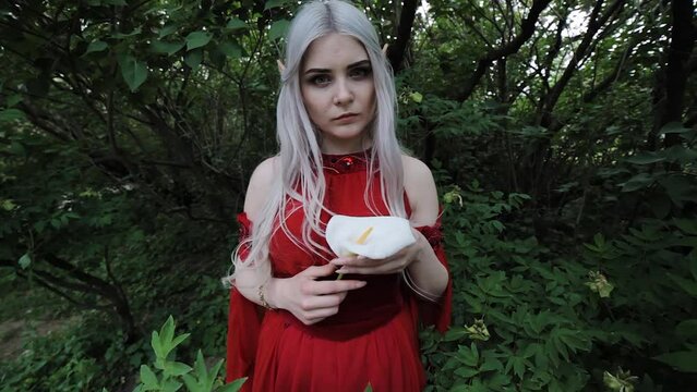 Mysterious and enigmatic female elf in a red dress. Her hands are holding a white calla flower.