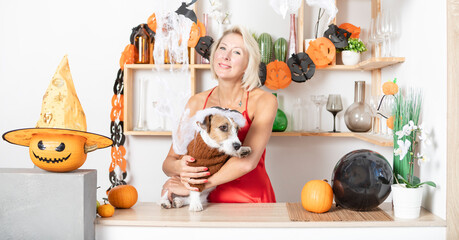 Cute dog in funny costume and attractive woman in beautiful dress celebrating Halloween at home