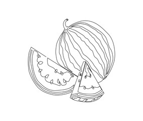 Continuous one line drawing of watermelon. single line water melon vector design. Hand drawn minimalism style.