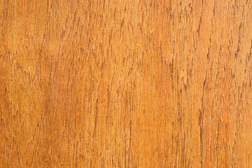 Obraz premium wood texture background