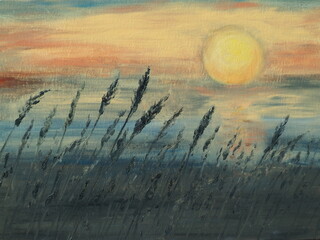 Sunrise or sunset and blades of grass. Oil painting with nature scene