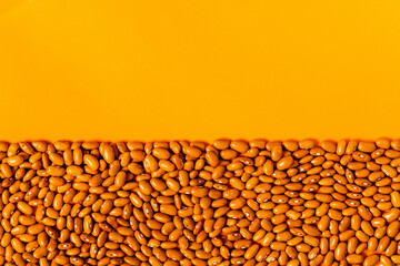 Yellow organic beans on a yellow background. Top view. Copy space.