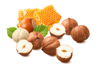 Honeycomb and multiple hazelnuts isolated on white background. Honey and nuts